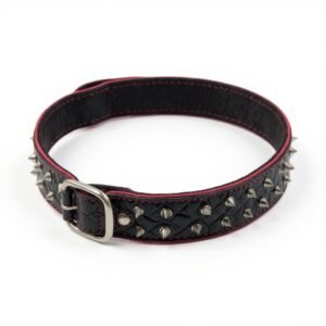Home shadow spike collar