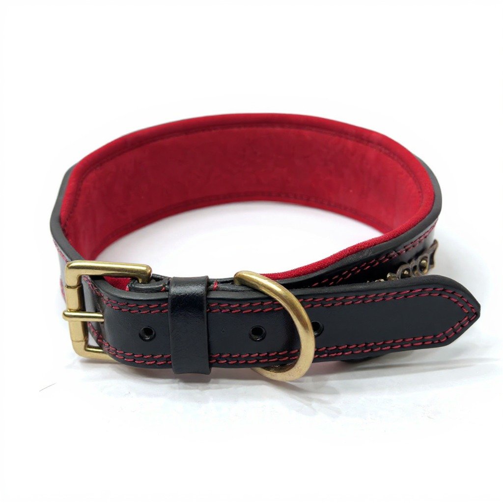 titan heritage collar titan heritage collar